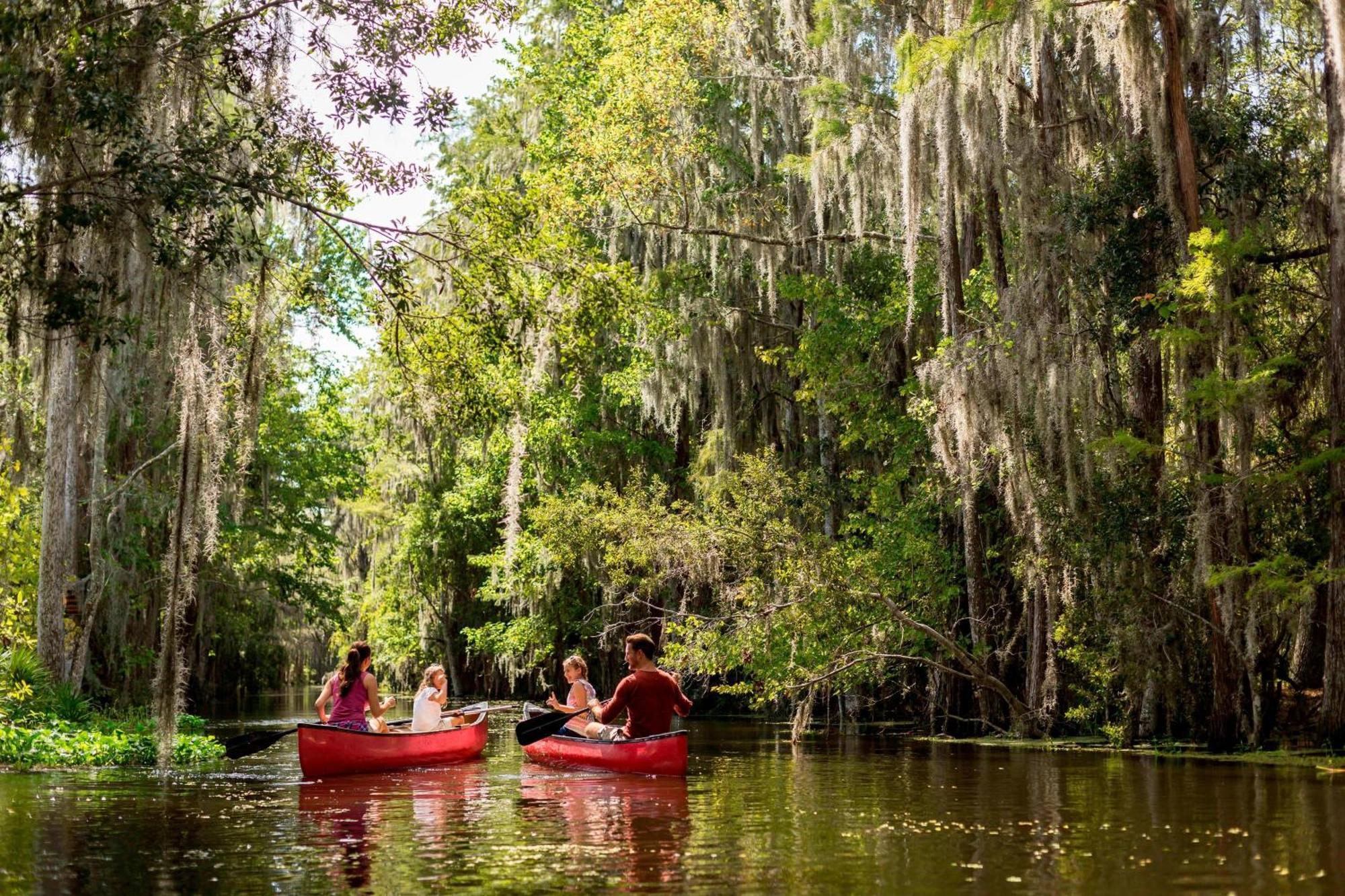Jw Marriott Orlando Grande Lakes Williamsburg Zewnętrze zdjęcie