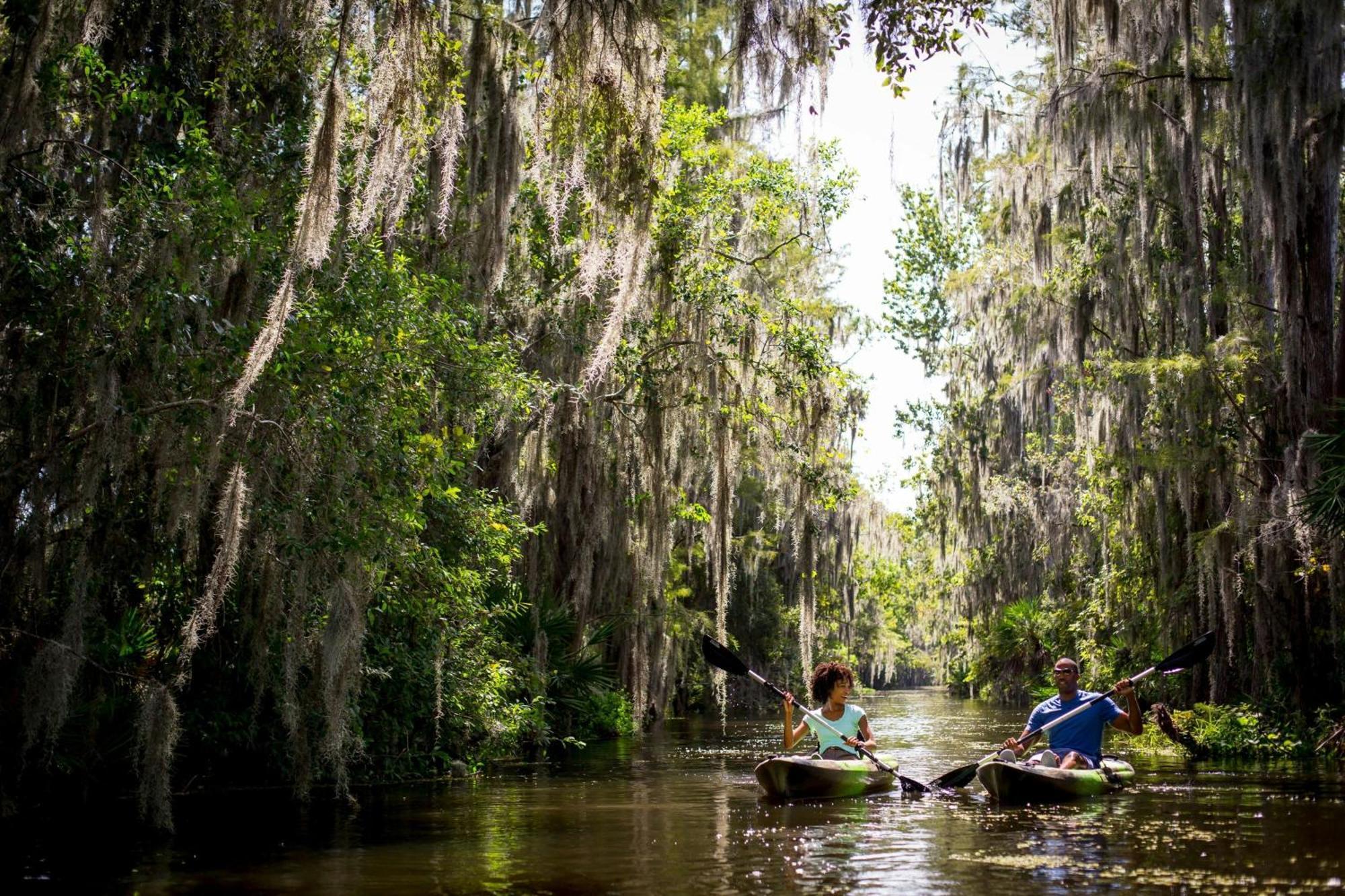 Jw Marriott Orlando Grande Lakes Williamsburg Zewnętrze zdjęcie